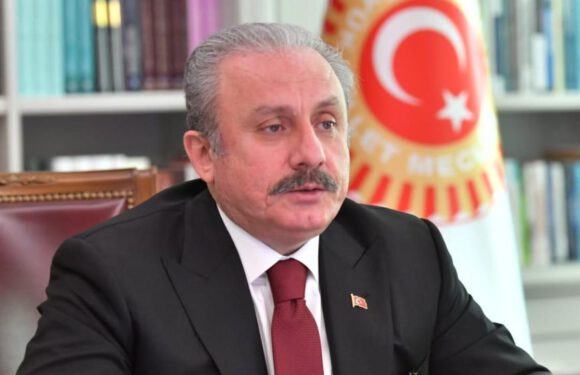 Milli Şair Ersoy’un torunundan TBMM Başkanı Şentop’a teşekkür