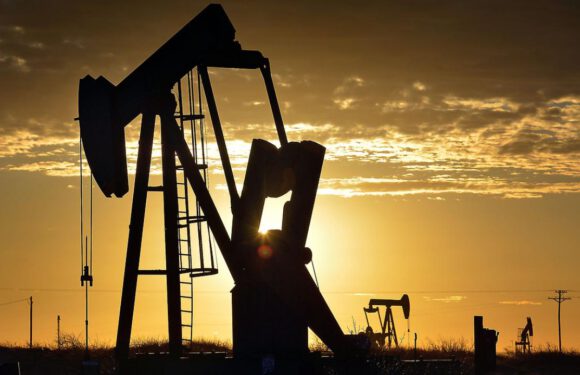 OPEC: Petrol talebi 2021’de yüzde 6,6 artacak
