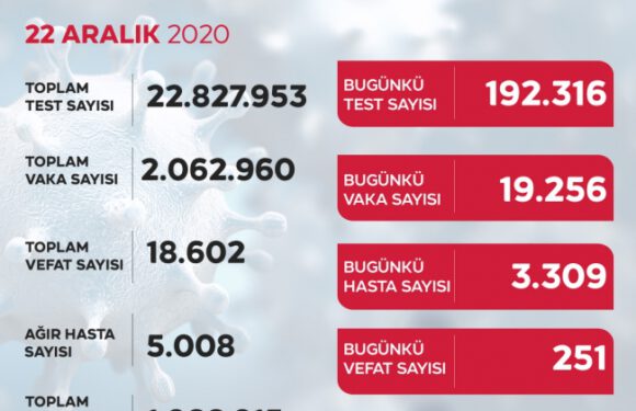 Son 24 saatte 19 bin 256 yeni vaka tespit edildi