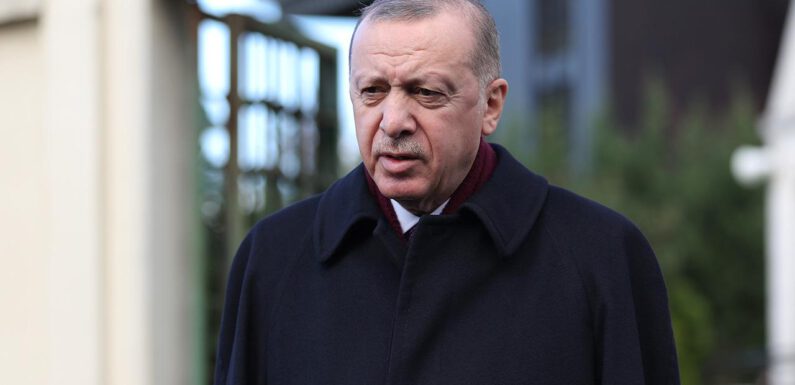 Cumhurbaşkanı Erdoğan’dan CHP’li Sağlar’a tepki: Bu çağda yaşamıyor