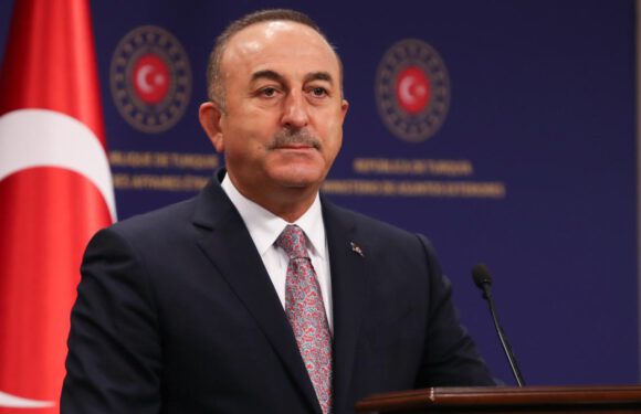 Dışişleri Bakanı Çavuşoğlu, ABD Ticaret Bakanı Ross ile görüştü