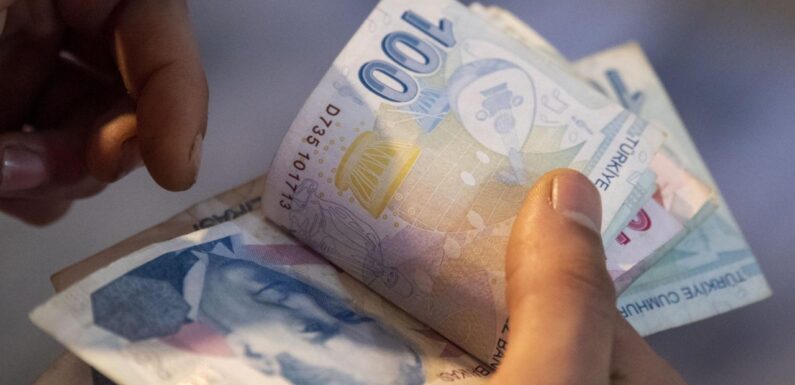 Türkiye Aile Destek Programı ödemeleri bu hafta yapılacak