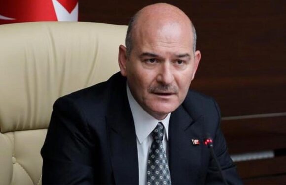 2022 yılında 92 bin kaçak göçmen sınır dışı edildi