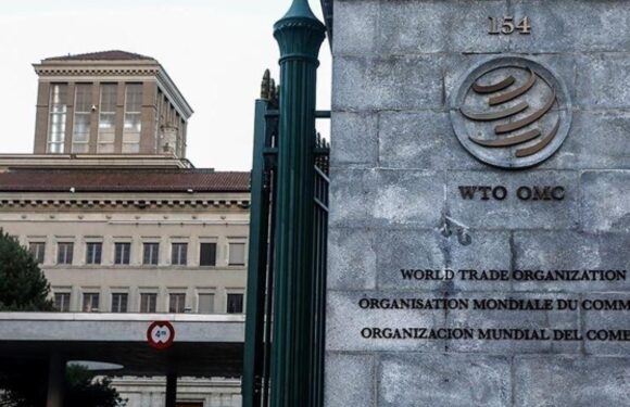Dünya Ticaret Örgütü: Küresel mal ticareti muhtemelen yavaşlayacak TRT Haber Ekonomi Haberleri AA