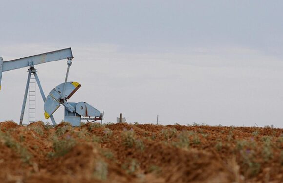 ABD, petrol fiyatı tahminini yukarı yönlü revize etti TRT Haber Ekonomi Haberleri AA