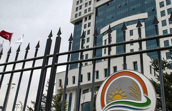 Bakanlıktan Singapur’da Türk markalı ürünlere izin verilmemesi iddialarına yanıt TRT Haber Ekonomi Haberleri AA