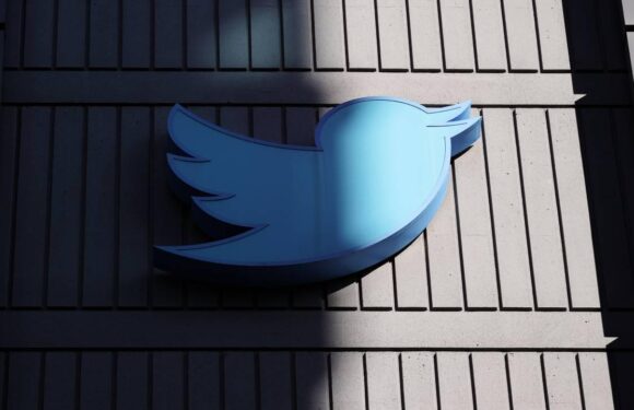 Twitter 2.0: Musk, 280 yerine bin karakterlik tweetler getirecek mi? TRT Haber Bilim Teknoloji Haberleri Techtimes