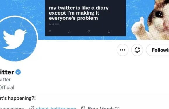 Twittera “Resmi” etiket geliyor TRT Haber Bilim Teknoloji Haberleri The Verge