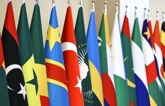 Türkiye’nin Afrika ülkeleriyle ilişkileri gelişiyor TRT Haber Ekonomi Haberleri AA