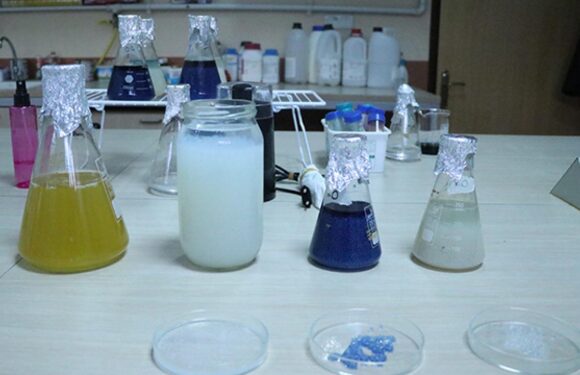 Atık sular, faydalı bakteri barındırılan boncuklar ile arıtılacak TRT Haber Bilim Teknoloji Haberleri AA