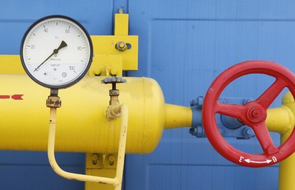 Fas ve Nijerya, 5 Batı Afrika ülkesiyle doğal gaz boru hattı mutabakat zaptı imzaladı TRT Haber Ekonomi Haberleri AA