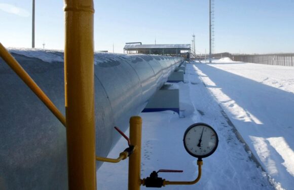 Gazprom: Çin’e günlük doğal gaz sevkiyatında rekor kırıldı TRT Haber Ekonomi Haberleri AA