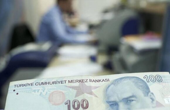 Yerli dijital teknolojiye 2 milyon liraya kadar destek TRT Haber Bilim Teknoloji Haberleri AA