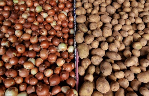 Dondurulmuş soğan ve patates ihracatı kayda bağlandı TRT Haber Ekonomi Haberleri AA