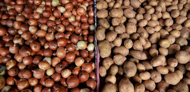 Dondurulmuş soğan ve patates ihracatı kayda bağlandı TRT Haber Ekonomi Haberleri AA