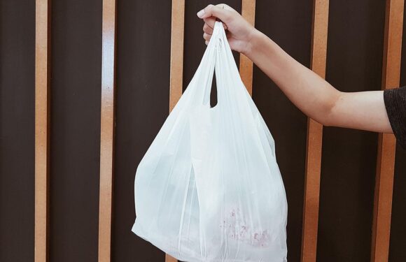 Dört yılda 550 bin ton plastik poşet atığın önüne geçildi TRT Haber Ekonomi Haberleri AA