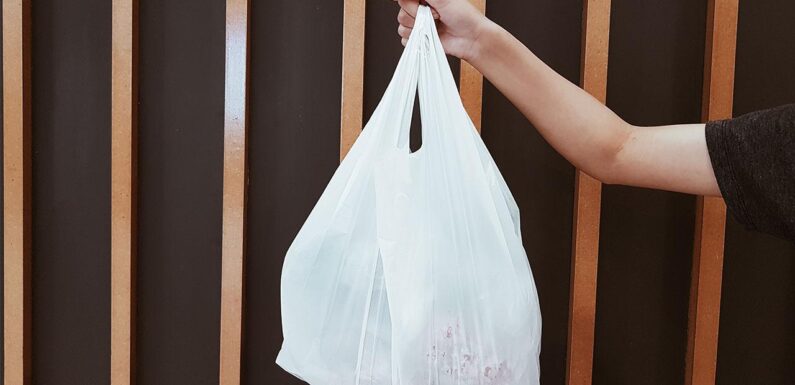 Dört yılda 550 bin ton plastik poşet atığın önüne geçildi TRT Haber Ekonomi Haberleri AA