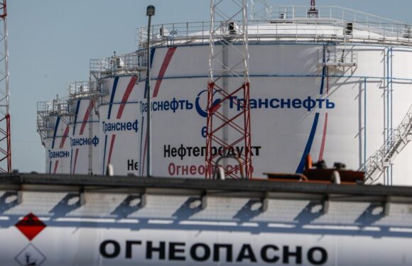 Rus Transneft: Almanya ve Polonya’dan petrol talebi aldık TRT Haber Ekonomi Haberleri AA