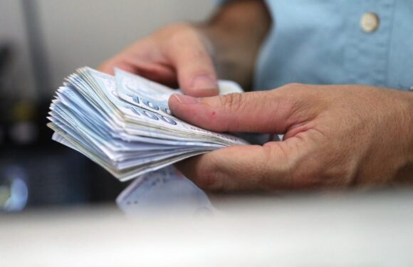 Sosyal koruma harcamaları 785 milyar 662 milyon lira oldu TRT Haber Ekonomi Haberleri AA