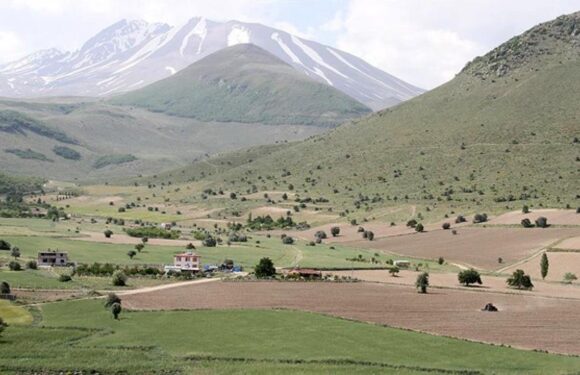 Atıl arazilerdeki yatırımlara sağlanacak destekler belli oldu TRT Haber Ekonomi Haberleri AA