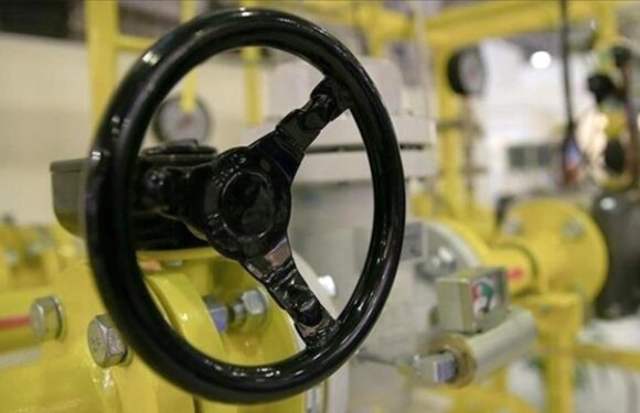 Türkiye’den Bulgaristan’a 1,5 milyar metreküplük doğal gaz satışı TRT Haber Ekonomi Haberleri AA