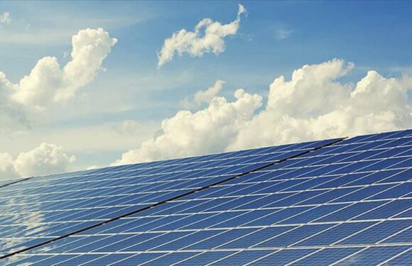 Güneş enerjisinde 2035’e kadar hedef yüzde 500 artış TRT Haber Ekonomi Haberleri AA