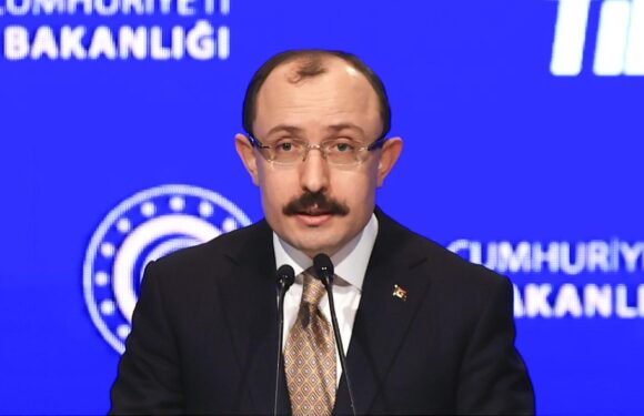 Bakan Muş: ‘Türkiye Yüzyılı’nda rekorlar kırmaya devam edeceğiz TRT Haber Ekonomi Haberleri AA