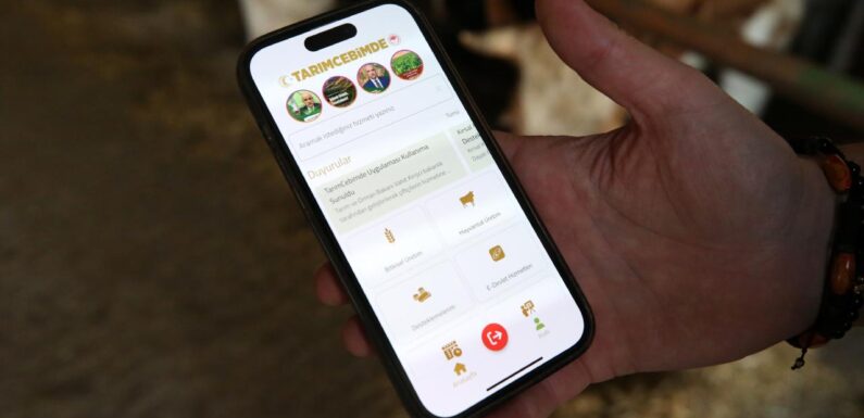 Tarım Cebimde mobil uygulaması üreticilerin işini kolaylaştırdı TRT Haber Ekonomi Haberleri AA