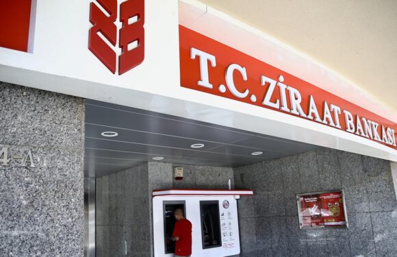 Ziraat Bankası, Bosna Hersek’te yeni şubelerini açatı TRT Haber Ekonomi Haberleri AA