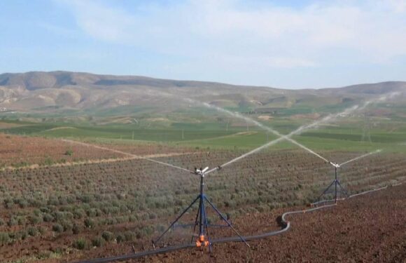 Tarım ve Orman Bakanlığı’ndan deprem bölgesine destek TRT Haber Ekonomi Haberleri AA