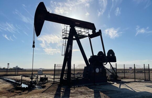 TPAO, 9 ildeki 15 sahada petrol arayacak TRT Haber Ekonomi Haberleri AA