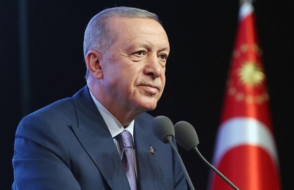 Cumhurbaşkanı Erdoğan’dan asgari ücret açıklaması TRT Haber Ekonomi Haberleri TRT Haber