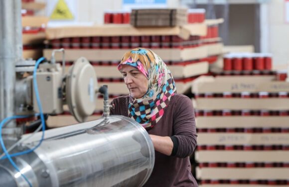 Kadın kooperatiflerine geçen yıl 13,7 milyon lira hibe sağlandı TRT Haber Ekonomi Haberleri AA