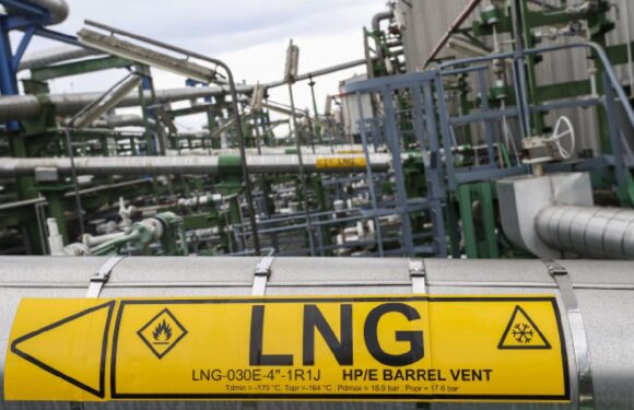 AB’nin Rusya’dan sıvılaştırılmış gaz ithalatı son 3 yılın en yüksek seviyesini gördü TRT Haber Ekonomi Haberleri AA