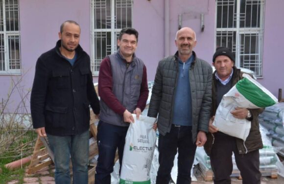 Çiftçilere ücretsiz mısır tohumu desteği TRT Haber Ekonomi Haberleri İHA