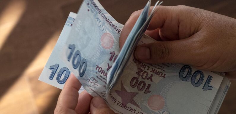 Türkiye Aile Destek Programı ödemeleri başlıyor TRT Haber Ekonomi Haberleri AA