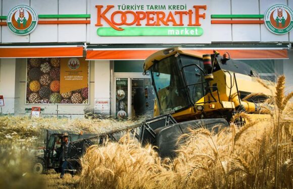 Tarım Kredi’den depremzede çiftçilere destek TRT Haber Ekonomi Haberleri TRT Haber