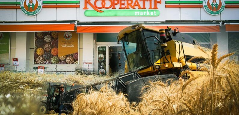 Tarım Kredi’den depremzede çiftçilere destek TRT Haber Ekonomi Haberleri TRT Haber