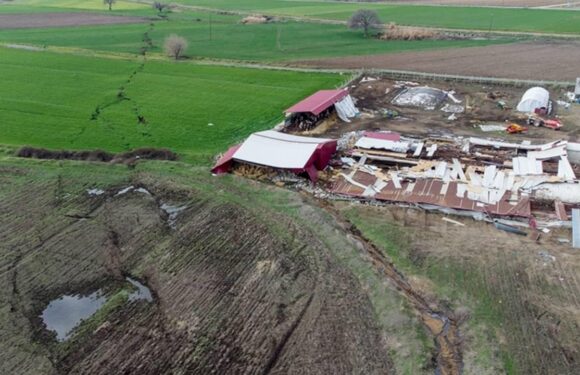 TARSİM 26 milyon TL hasar ödemesi yaptı TRT Haber Ekonomi Haberleri AA