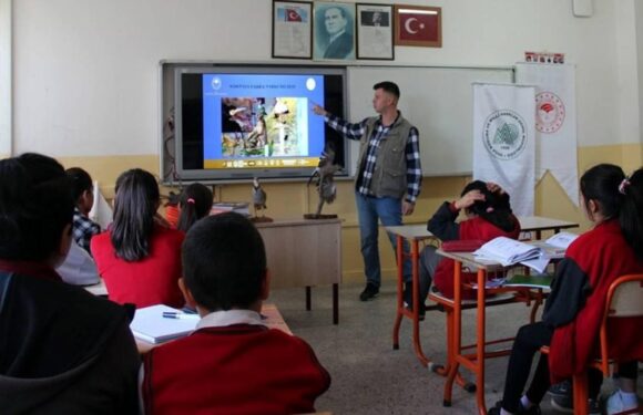 Okuma yazma oranı yüzde 97,6’ya yükseldi TRT Haber Eğitim Haberleri