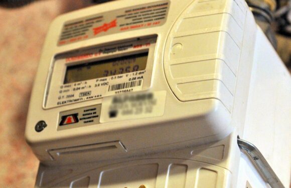 Türkiye’nin doğal gaz şebekesine 2022’de 1 milyon yeni konut bağlandı TRT Haber Ekonomi Haberleri AA