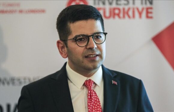 Cumhurbaşkanlığı Yatırım Ofisi Yatırım Süreçleri Kılavuzunu yayınladı TRT Haber Ekonomi Haberleri AA