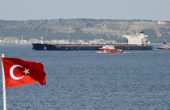 Türk bayraklı gemilerle taşınan yük miktarı arttı TRT Haber Ekonomi Haberleri AA