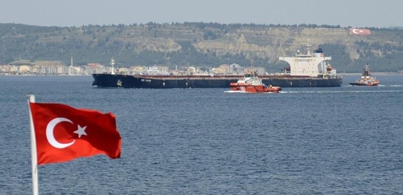 Türk bayraklı gemilerle taşınan yük miktarı arttı TRT Haber Ekonomi Haberleri AA