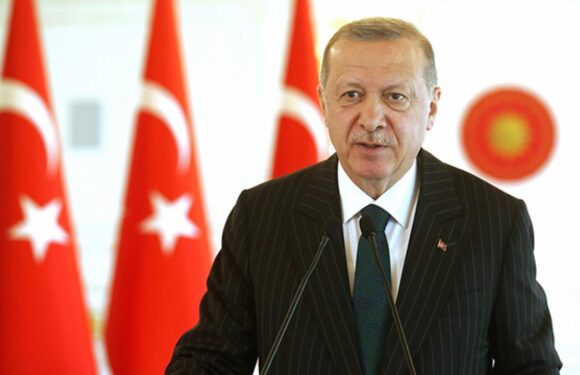 Cumhurbaşkanı Erdoğan: Vatandaşımızın refahı için adım atmaktan geri durmayacağız TRT Haber Ekonomi Haberleri TRT Haber