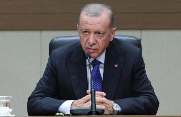 Cumhurbaşkanı Erdoğan: Fahiş kira artışlarına giden cezasını çekecektir TRT Haber Ekonomi Haberleri TRT Haber