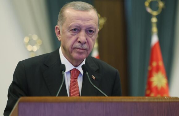 DEİK, Erdoğan’ın körfez turunda, 200 iş insanıyla çıkarma yapacak TRT Haber Ekonomi Haberleri AA