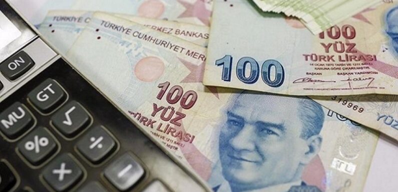 Borç yapılandırmasının bozulmaması için ilk ödeme 31 Temmuz’a kadar yapılmalı TRT Haber Ekonomi Haberleri AA