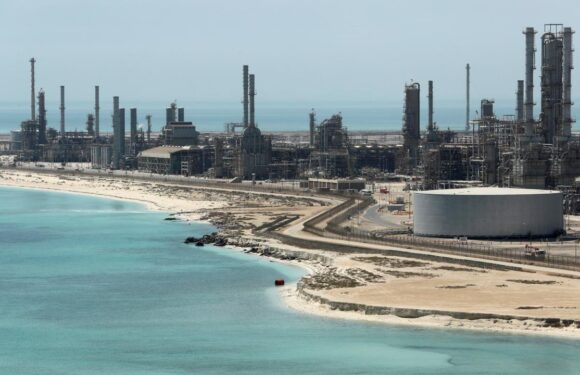 Suudi Arabistan petrolde ek üretim kesintisine ağustosta da devam edecek TRT Haber Ekonomi Haberleri AA