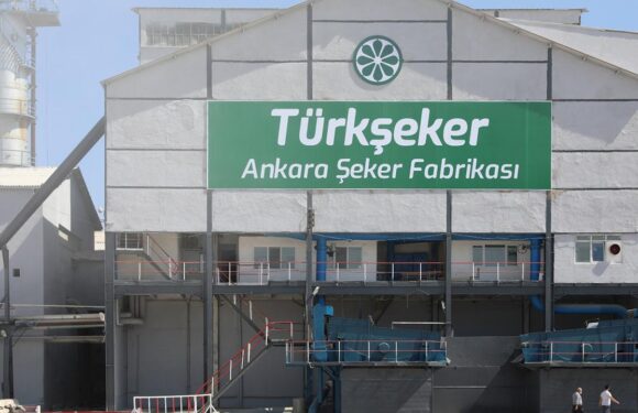 TÜRKŞEKER 1000 geçici işçi alacak TRT Haber Ekonomi Haberleri AA